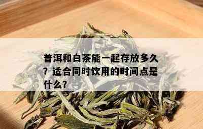 普洱和白茶能一起存放多久？适合同时饮用的时间点是什么？