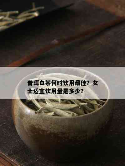 普洱白茶何时饮用更佳？女士适宜饮用量是多少？