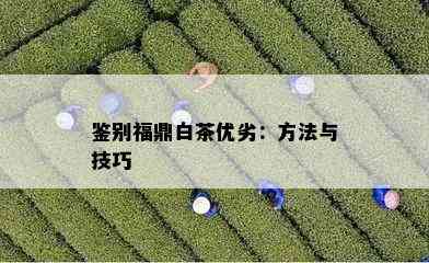 鉴别福鼎白茶优劣：方法与技巧