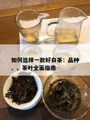 如何选择一款好白茶：品种、、茶叶全面指南