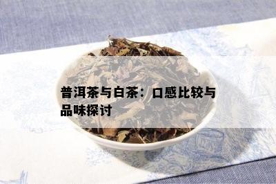 普洱茶与白茶：口感比较与品味探讨