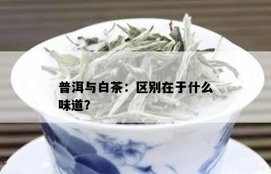 普洱与白茶：区别在于什么味道？