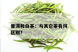 普洱和白茶：与其它茶有何区别？