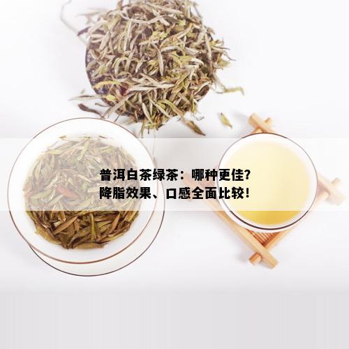 普洱白茶绿茶：哪种更佳？降脂效果、口感全面比较！