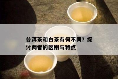 普洱茶和白茶有何不同？探讨两者的区别与特点