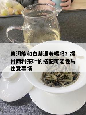 普洱能和白茶混着喝吗？探讨两种茶叶的搭配可能性与注意事项