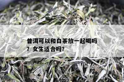 普洱可以和白茶放一起喝吗？女生适合吗？