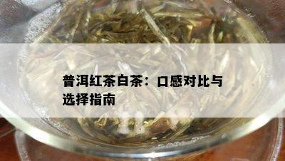 普洱红茶白茶：口感对比与选择指南