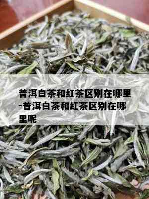 普洱白茶和红茶区别在哪里-普洱白茶和红茶区别在哪里呢