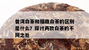 普洱白茶和福鼎白茶的区别是什么？探讨两款白茶的不同之处