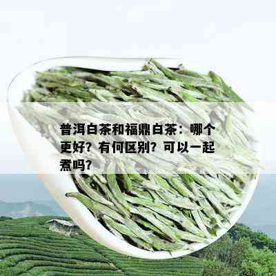 普洱白茶和福鼎白茶：哪个更好？有何区别？可以一起煮吗？