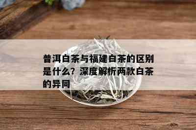 普洱白茶与福建白茶的区别是什么？深度解析两款白茶的异同