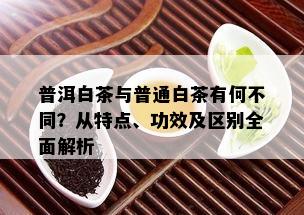 普洱白茶与普通白茶有何不同？从特点、功效及区别全面解析