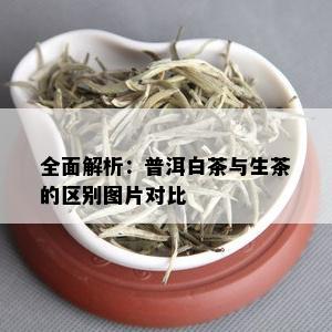 全面解析：普洱白茶与生茶的区别图片对比