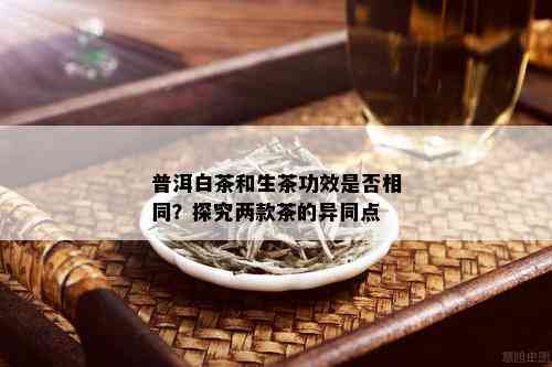 普洱白茶和生茶功效是否相同？探究两款茶的异同点