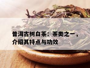 普洱古树白茶：茶类之一，介绍其特点与功效