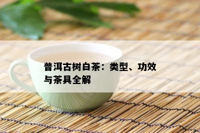 普洱古树白茶：类型、功效与茶具全解
