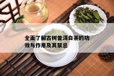 全面了解古树普洱白茶的功效与作用及其禁忌