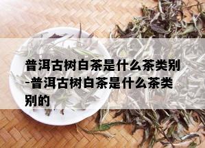 普洱古树白茶是什么茶类别-普洱古树白茶是什么茶类别的