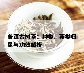普洱古树茶：种类、茶类归属与功效解析