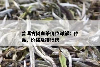 普洱古树白茶价位详解：种类、价格及排行榜