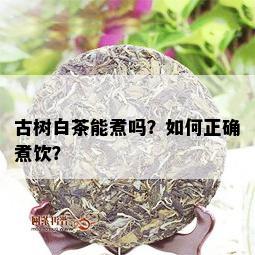 古树白茶能煮吗？如何正确煮饮？