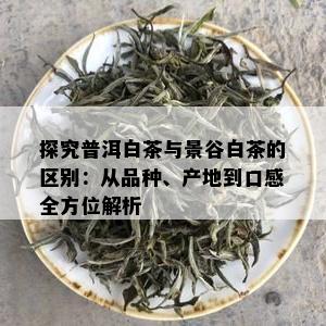 探究普洱白茶与景谷白茶的区别：从品种、产地到口感全方位解析