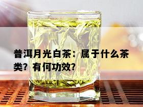 普洱月光白茶：属于什么茶类？有何功效？