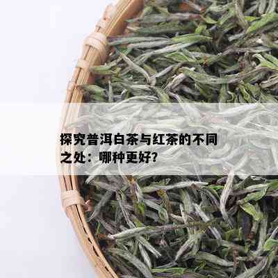 探究普洱白茶与红茶的不同之处：哪种更好？