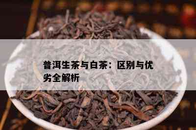 普洱生茶与白茶：区别与优劣全解析