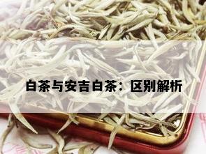 白茶与安吉白茶：区别解析