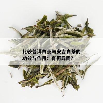 比较普洱白茶与安吉白茶的功效与作用：有何异同？