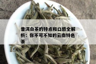 普洱白茶的特点和口感全解析：你不可不知的云南特色茶
