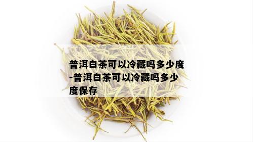 普洱白茶可以冷藏吗多少度-普洱白茶可以冷藏吗多少度保存