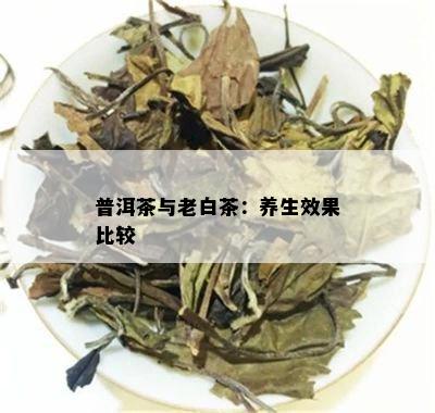 普洱茶与老白茶：养生效果比较