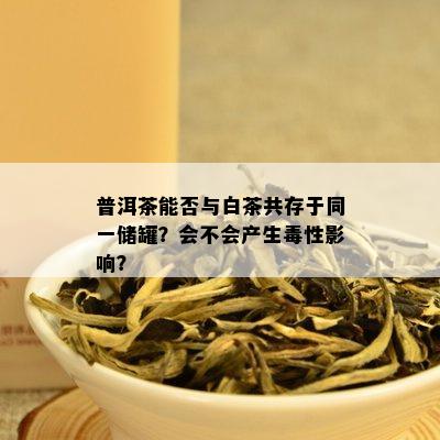 普洱茶能否与白茶共存于同一储罐？会不会产生性影响？