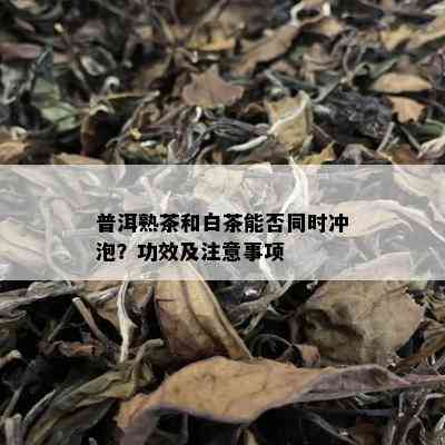 普洱熟茶和白茶能否同时冲泡？功效及注意事项