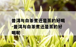 普洱与白茶煮还是蒸的好喝-普洱与白茶煮还是蒸的好喝呢