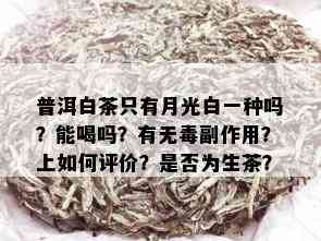 普洱白茶只有月光白一种吗？能喝吗？有无副作用？上如何评价？是否为生茶？