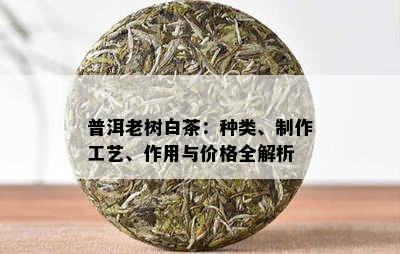 普洱老树白茶：种类、制作工艺、作用与价格全解析