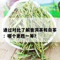 通过对比了解普洱茶和白茶：哪个更胜一筹？