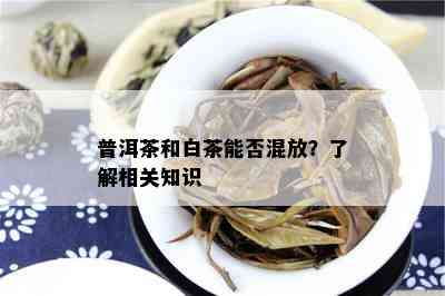 普洱茶和白茶能否混放？了解相关知识