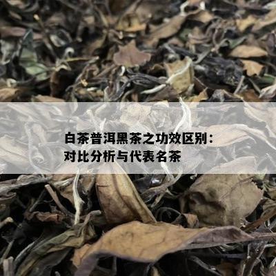 白茶普洱黑茶之功效区别：对比分析与代表名茶