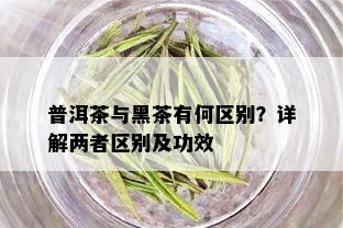 普洱茶与黑茶有何区别？详解两者区别及功效