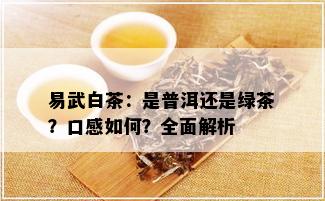 易武白茶：是普洱还是绿茶？口感如何？全面解析