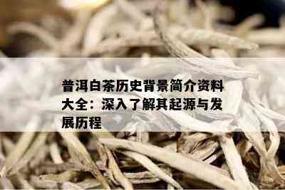 普洱白茶历史背景简介资料大全：深入了解其起源与发展历程