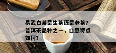 易武白茶是生茶还是老茶？普洱茶品种之一，口感特点如何？
