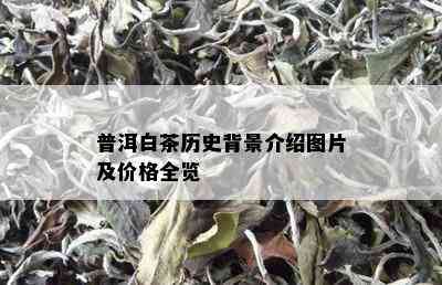 普洱白茶历史背景介绍图片及价格全览