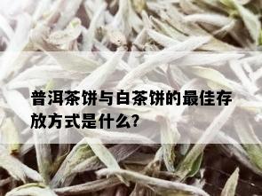 普洱茶饼与白茶饼的更佳存放方式是什么？