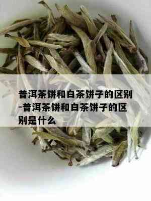 普洱茶饼和白茶饼子的区别-普洱茶饼和白茶饼子的区别是什么